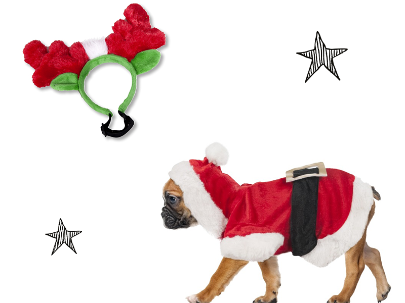 Cadeaux pour chien : une tenue de Noël